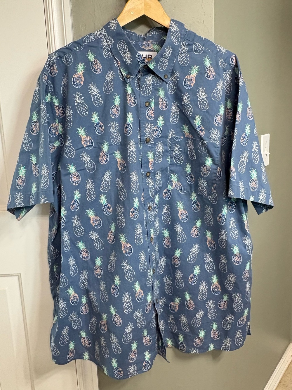 Men's Pineapple Print Short-Sleeve Button-Down Shirt - Blue